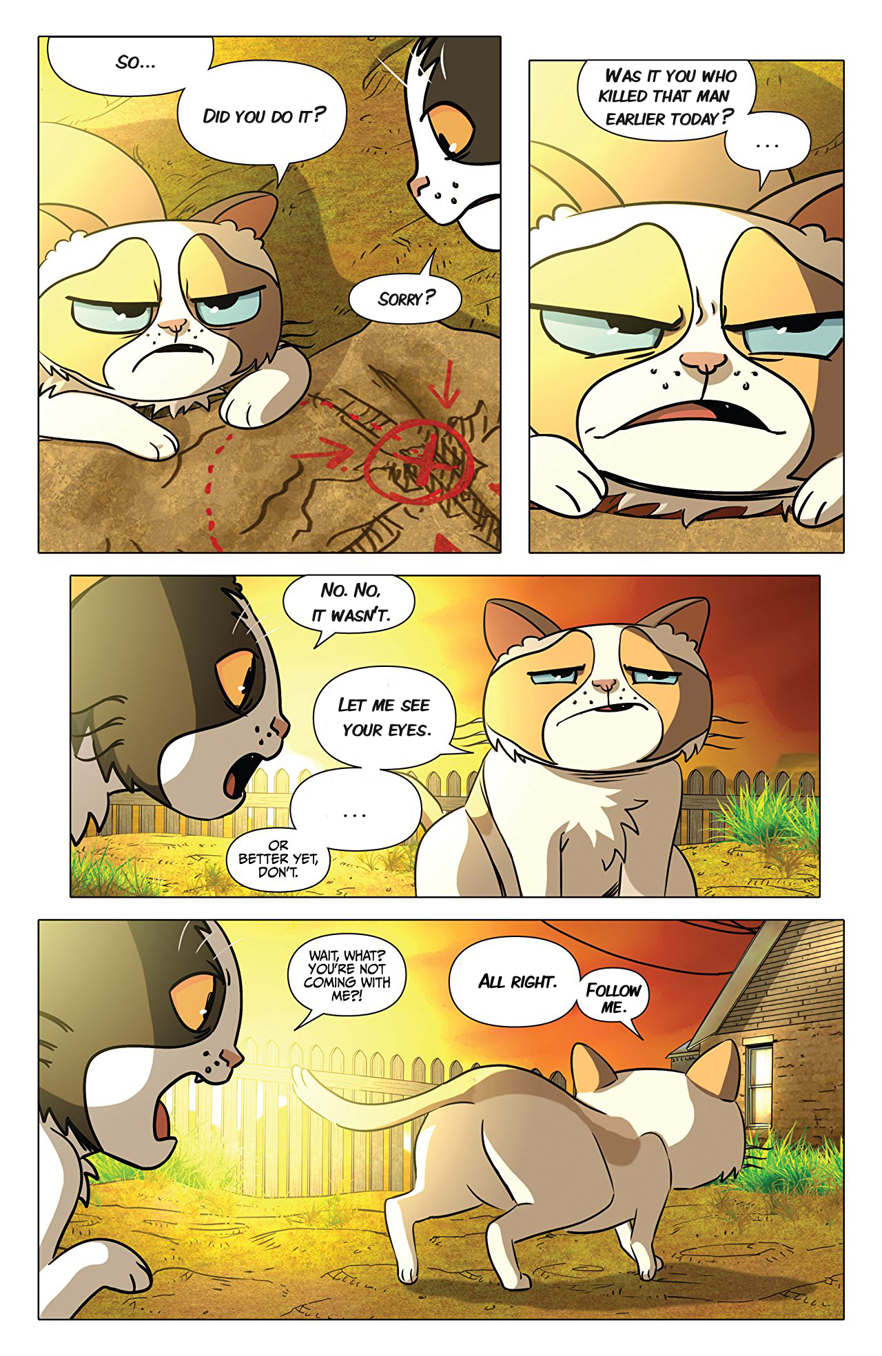 00 Grumpy Cat